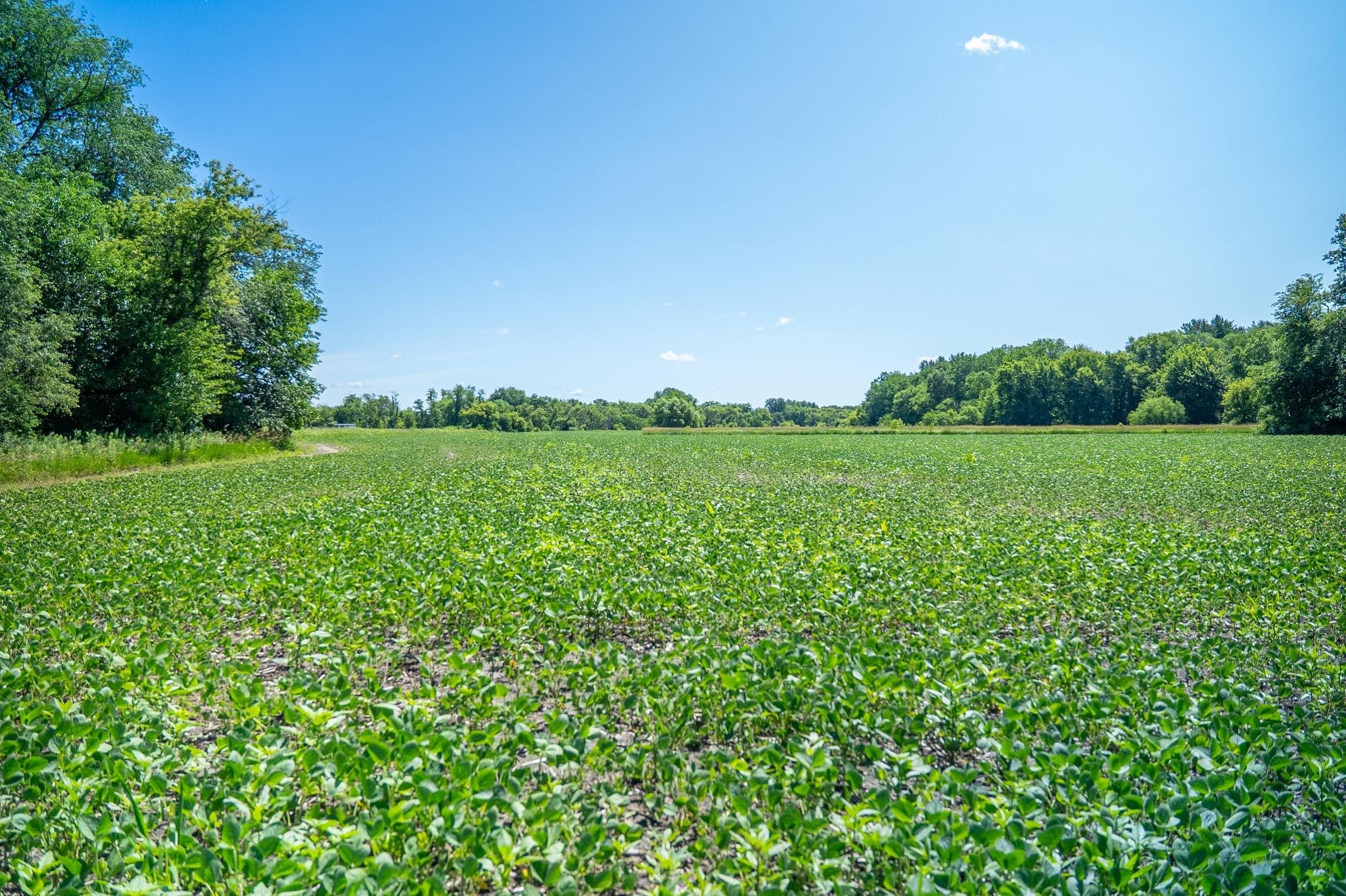 0 Inlet Road Amboy, IL 61310 - Photo 64 of 83