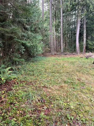 $249,000 | 901 Ruby Valley Court, Maple Falls, WA 98266