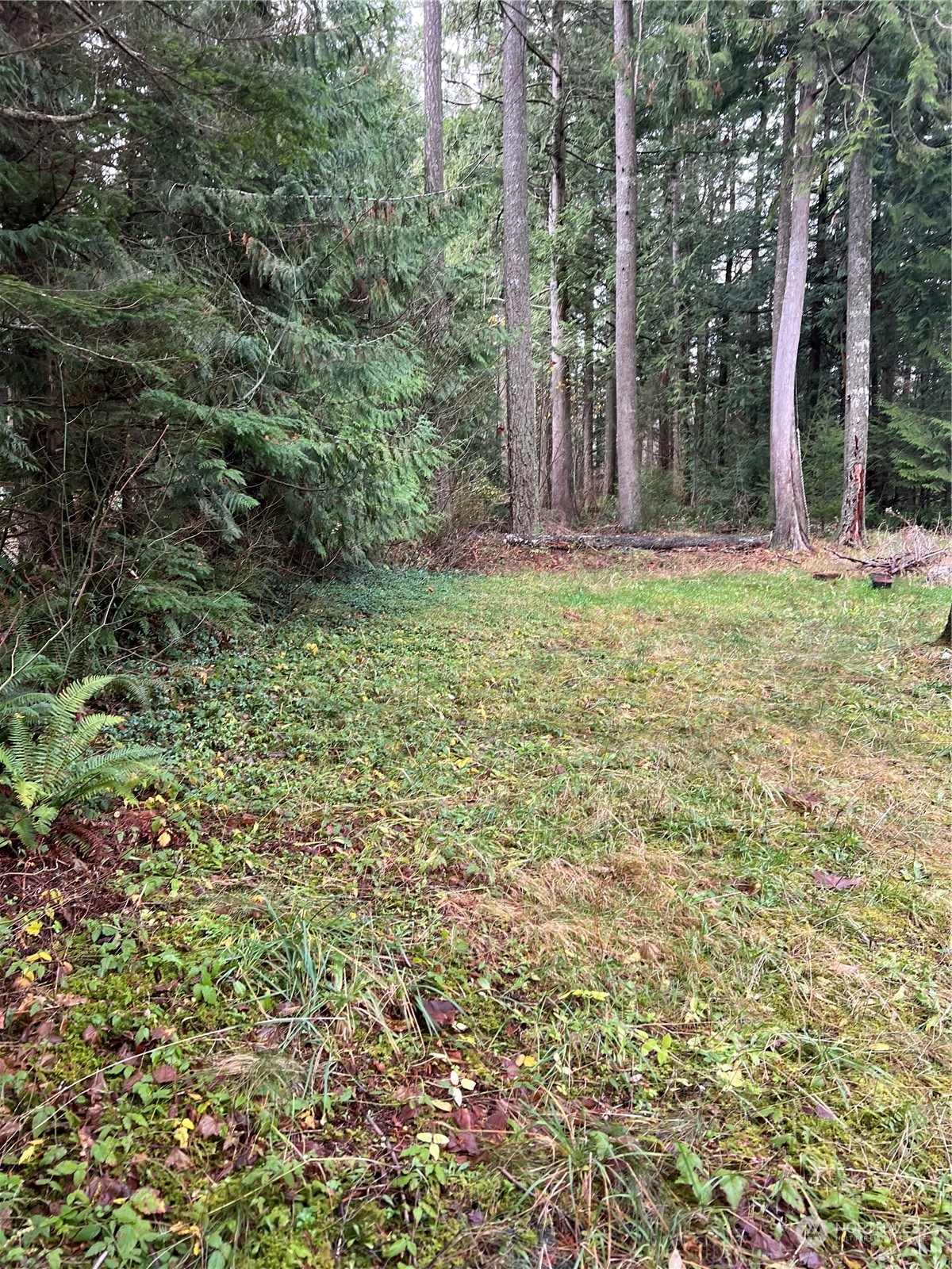 901 Ruby Valley Court Maple Falls, WA 98266 - Photo 13 of 28