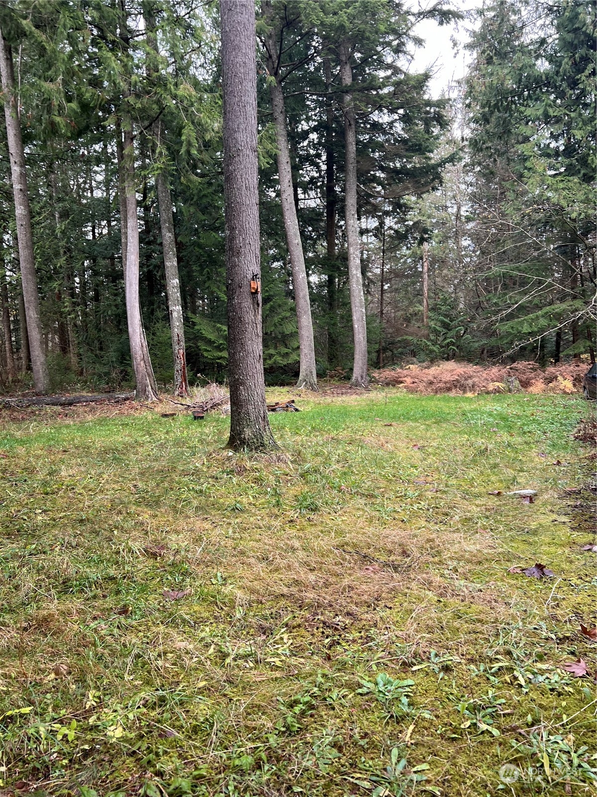901 Ruby Valley Court Maple Falls, WA 98266 - Photo 14 of 28