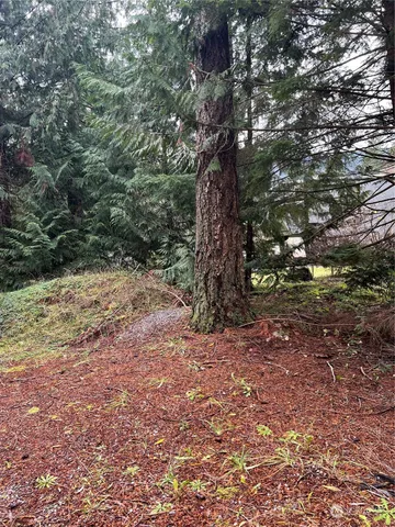 $249,000 | 901 Ruby Valley Court, Maple Falls, WA 98266