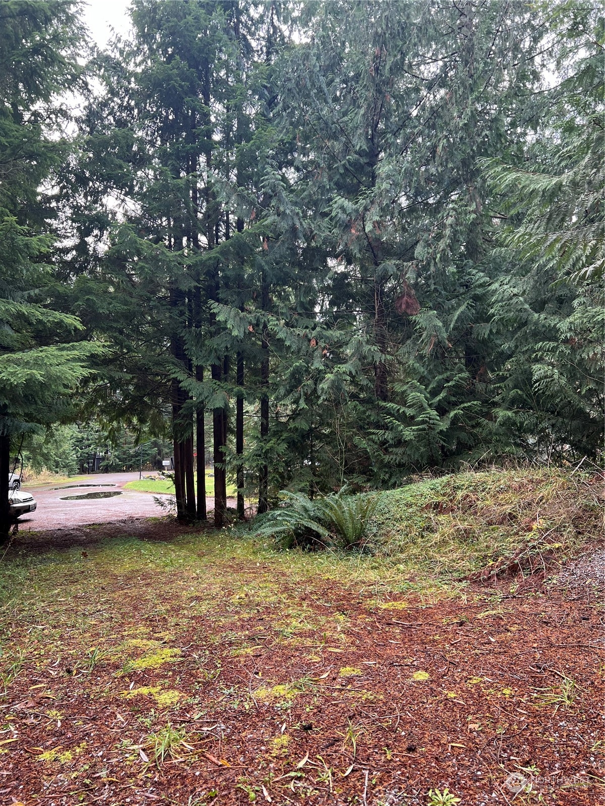 901 Ruby Valley Court Maple Falls, WA 98266 - Photo 6 of 28