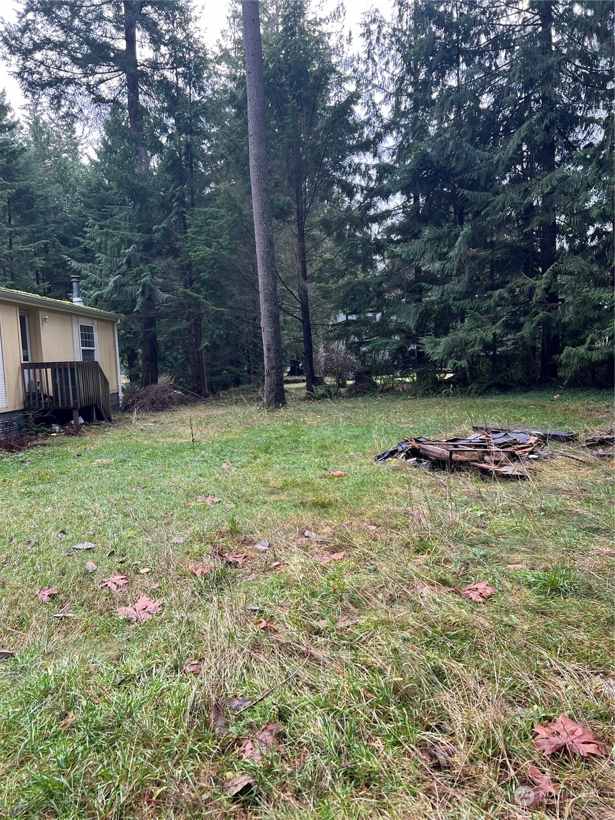 901 Ruby Valley Court Maple Falls, WA 98266 - Photo 8 of 28