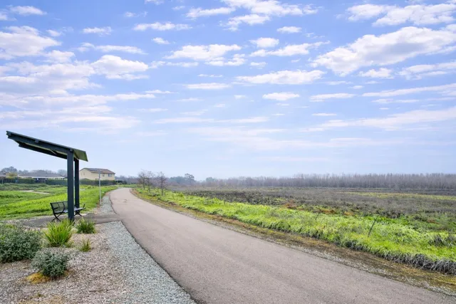 a view of a road with an ocean view