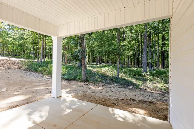 a view of a backyard with plants and large trees