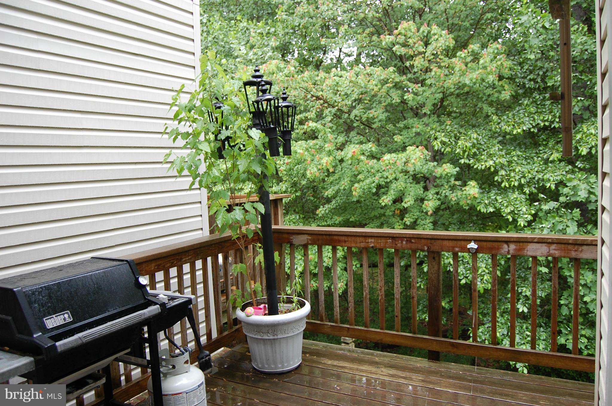 1211 Wild Hawthorn Way Reston, VA 20194 - Photo 2 of 12 Deck overlooking trees - PRIVATE