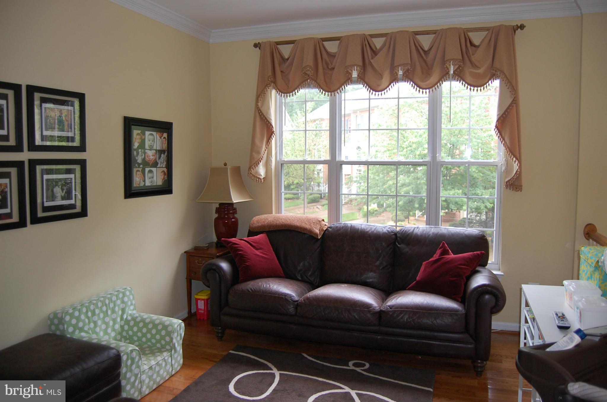 1211 Wild Hawthorn Way Reston, VA 20194 - Photo 4 of 12 Main level living room