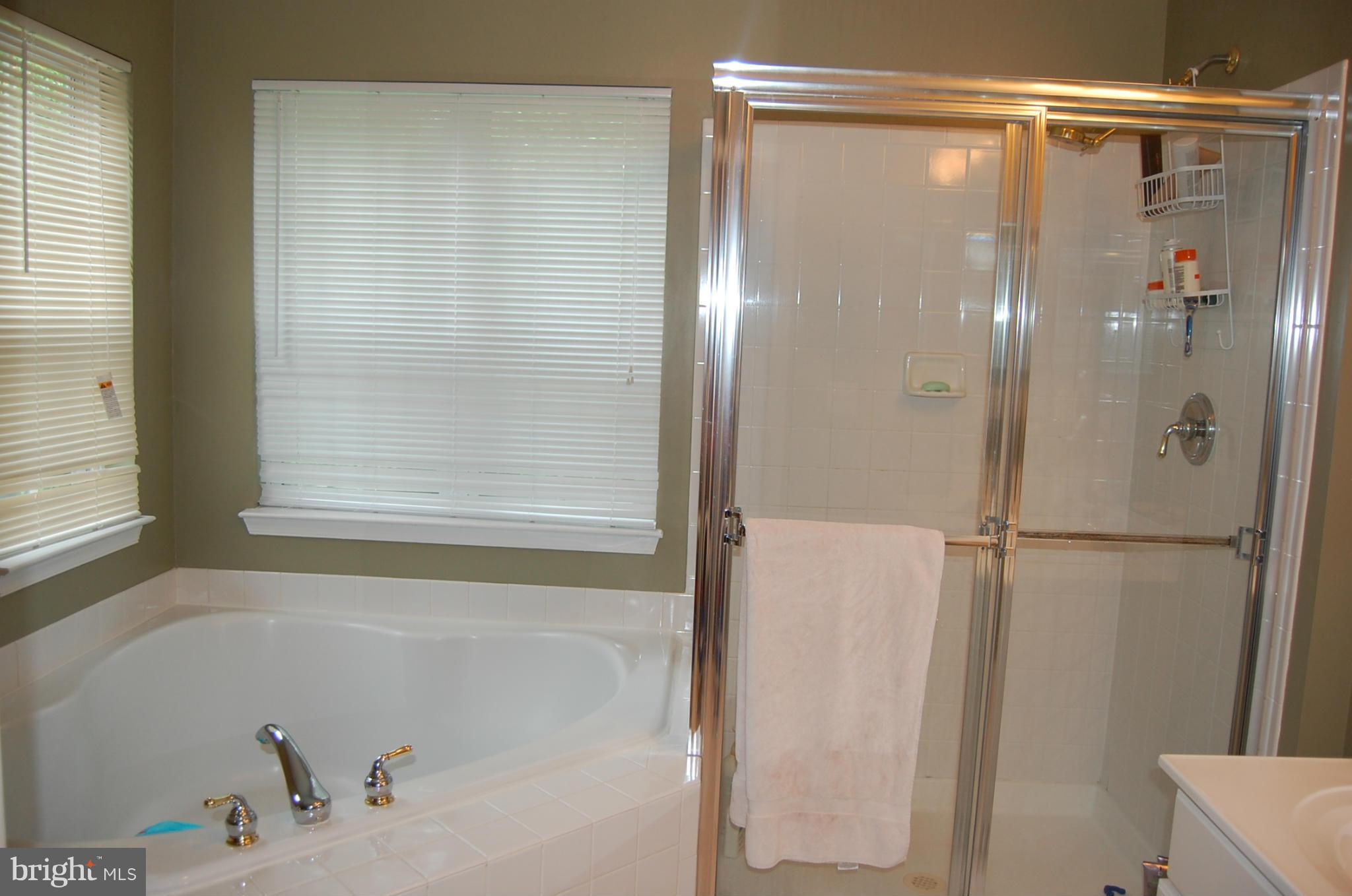 1211 Wild Hawthorn Way Reston, VA 20194 - Photo 9 of 12 Large Master w/Tub & Shower
