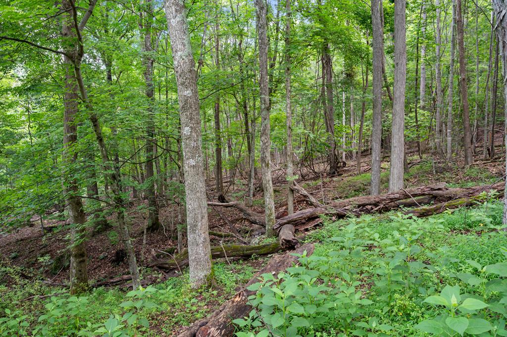 Lot G Springdale Road, Unit G Pearisburg, VA 24134 - Photo 33 of 62 Gallery Image 33