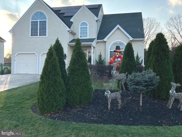 a view of a backyard with plants and a fountain