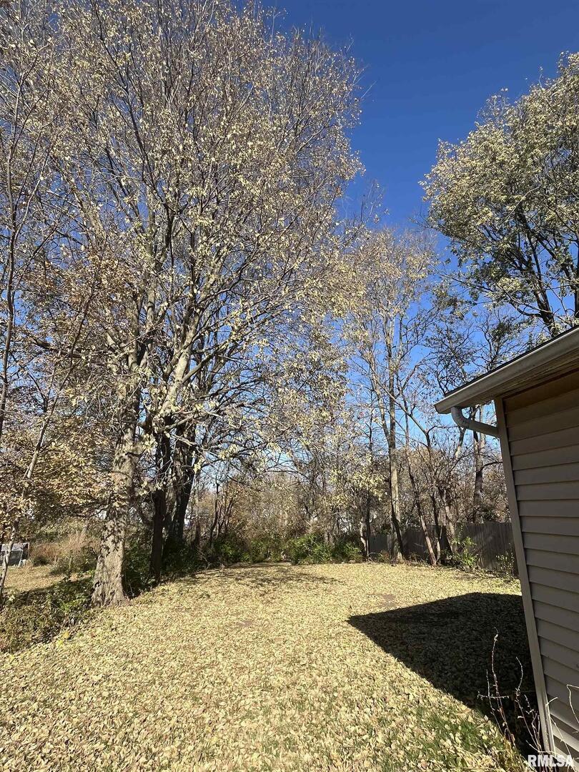 328 East Prospect Street Kewanee, IL 61443 - Photo 41 of 41 a view of a backyard of the house