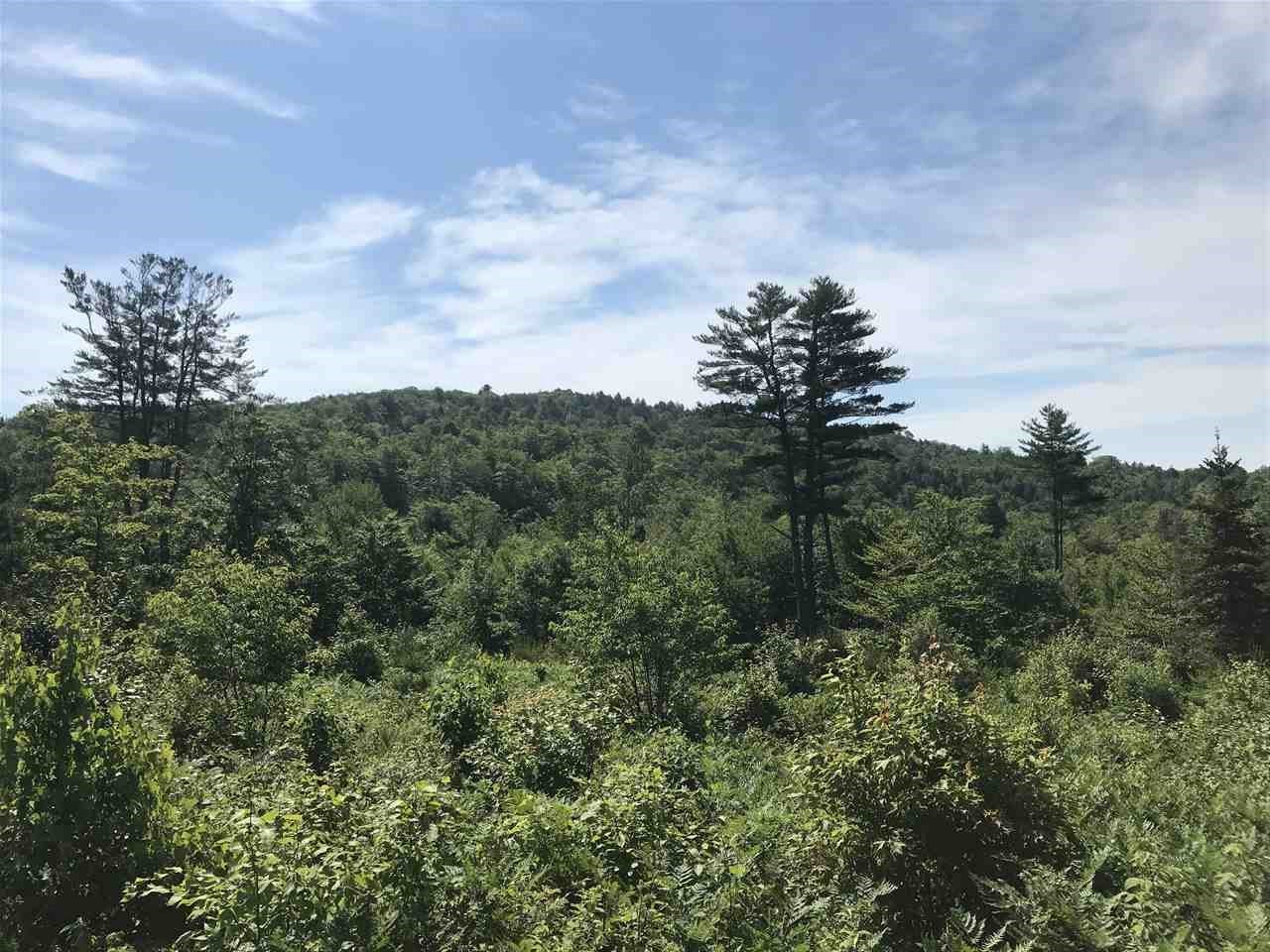 R08-08 Poverty Pond Road, Unit R08/08 Hill, NH 03243 - Photo 4 of 10