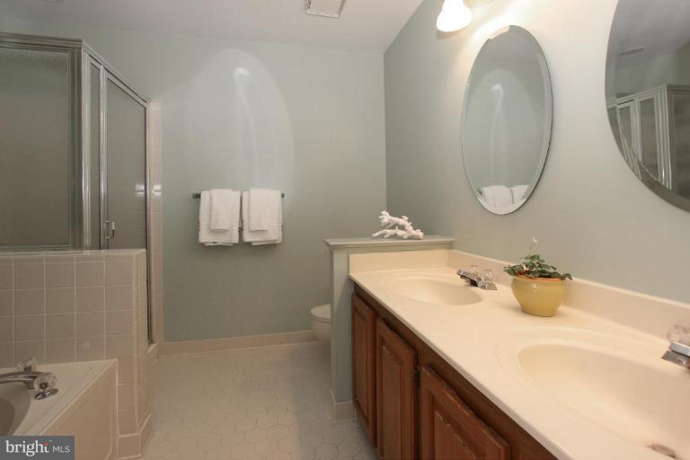 11793 Great Owl Circle Reston, VA 20194 - Photo 11 of 28 Master Bath