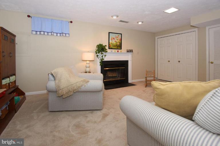 11793 Great Owl Circle Reston, VA 20194 - Photo 22 of 28 Recreation Room #2
