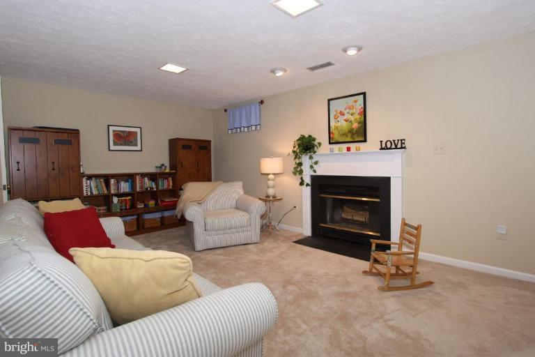 11793 Great Owl Circle Reston, VA 20194 - Photo 5 of 28 Recreation Room