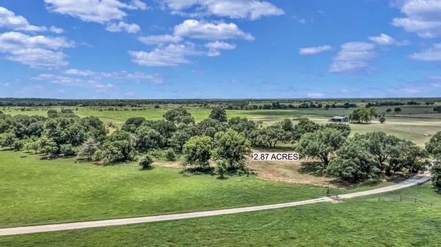 a view of a garden with an outdoor space