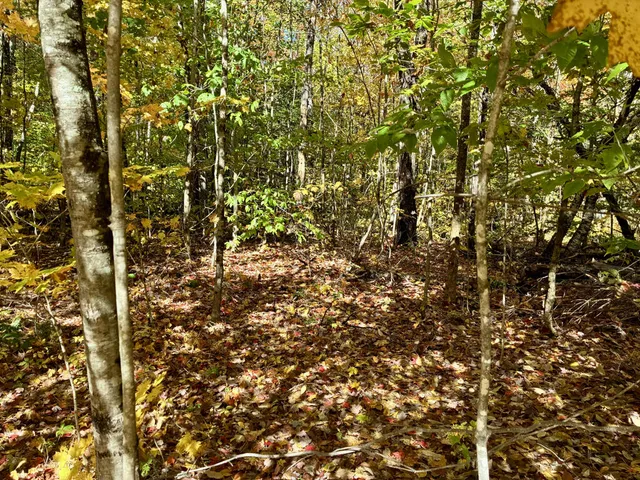 $29,000 | Lot 015 Intervale Road, Temple, ME 04984