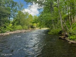 0 Riverview Road Townsend, TN 37882 - Photo 1 of 2 Gallery Image 1