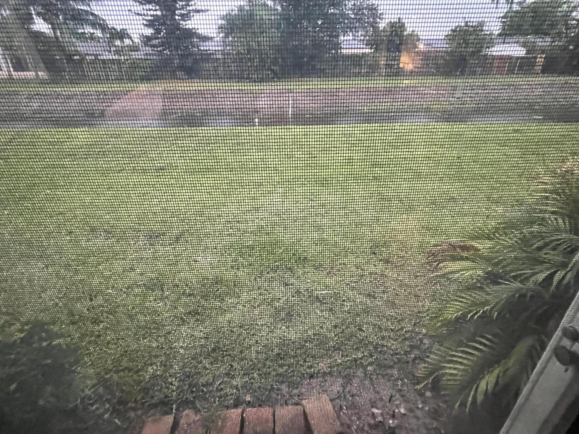6300 Kings Gate Circle Delray Beach, FL 33484 - Photo 18 of 18 28A26432-772D-44B4-BF07-A93AE1FF0DC2