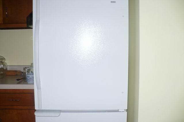 224 Lowell Road Pence Springs, WV 24962 - Photo 12 of 29 Refrigerator