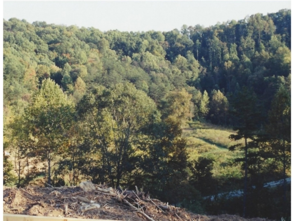 815 Speedwell Road Bulls Gap, TN 37711 - Photo 3 of 6 Photo 3