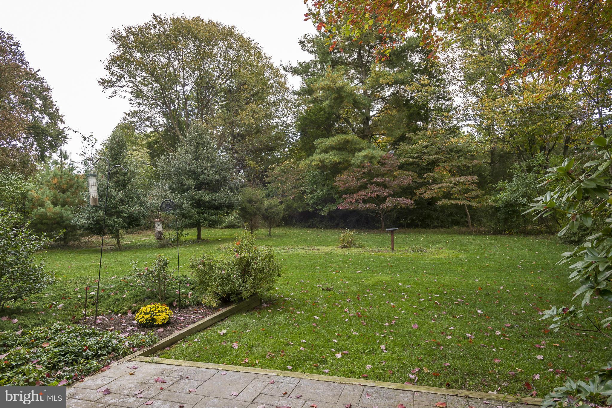 14401 Cantrell Road Silver Spring, MD 20905 - Photo 24 of 28 View