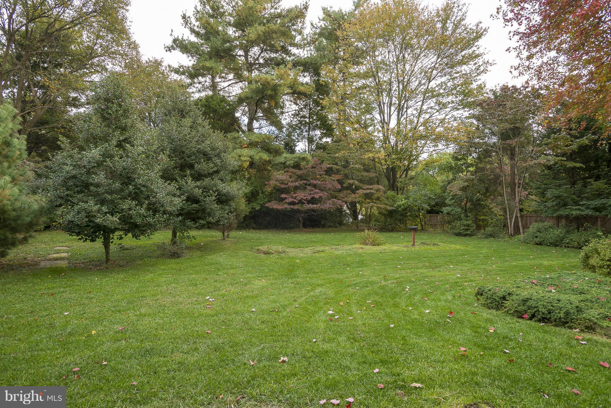 14401 Cantrell Road Silver Spring, MD 20905 - Photo 26 of 28 View
