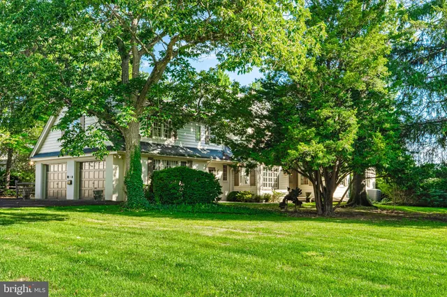 a view of a house with backyard and a tree