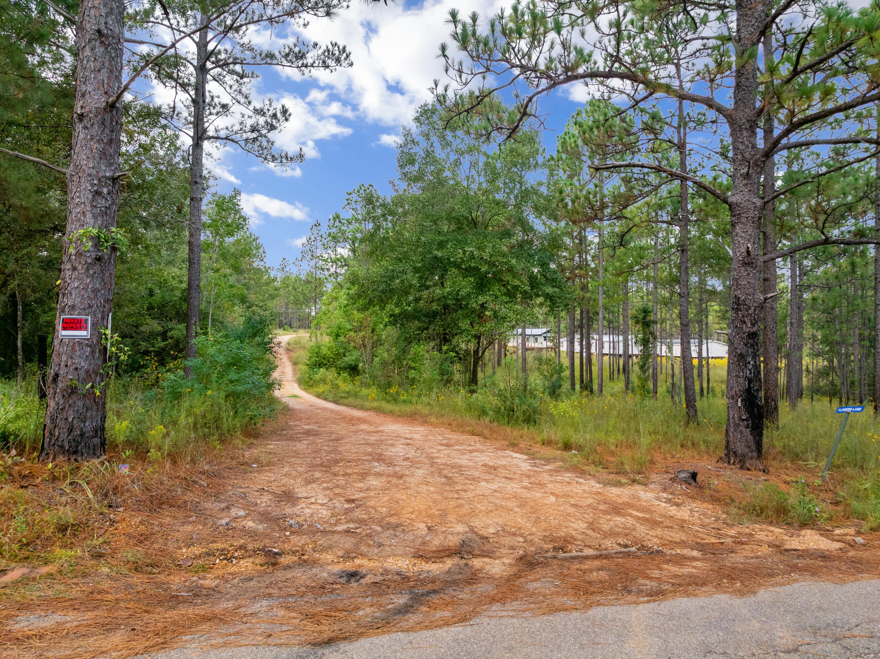 0 John Travis Road Poplarville, MS 39470 - Photo 1 of 1 John_Travis_Rd-1
