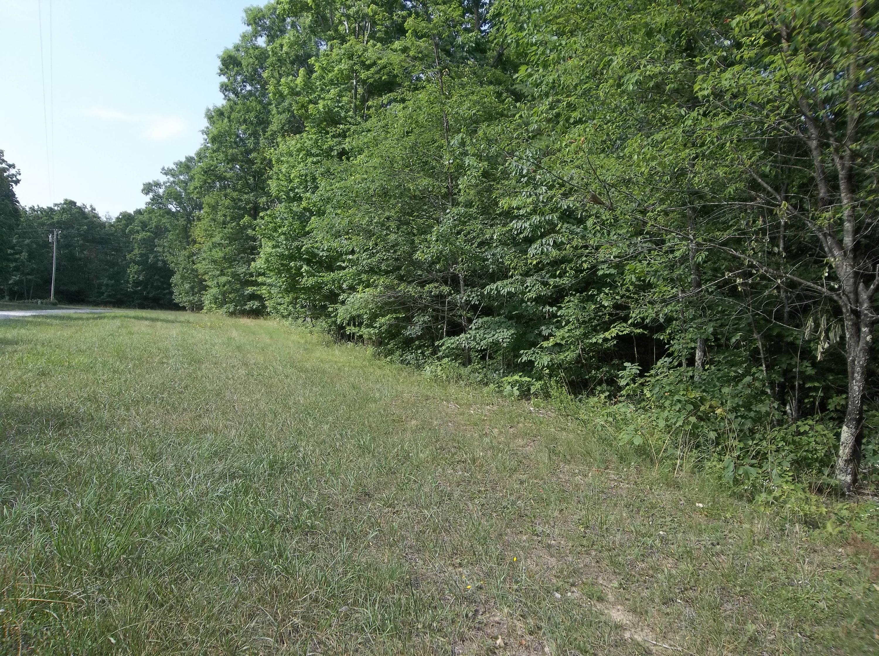 0 Lou Road, Unit 52 Pikeville, TN 37367 - Photo 1 of 9 100_3125