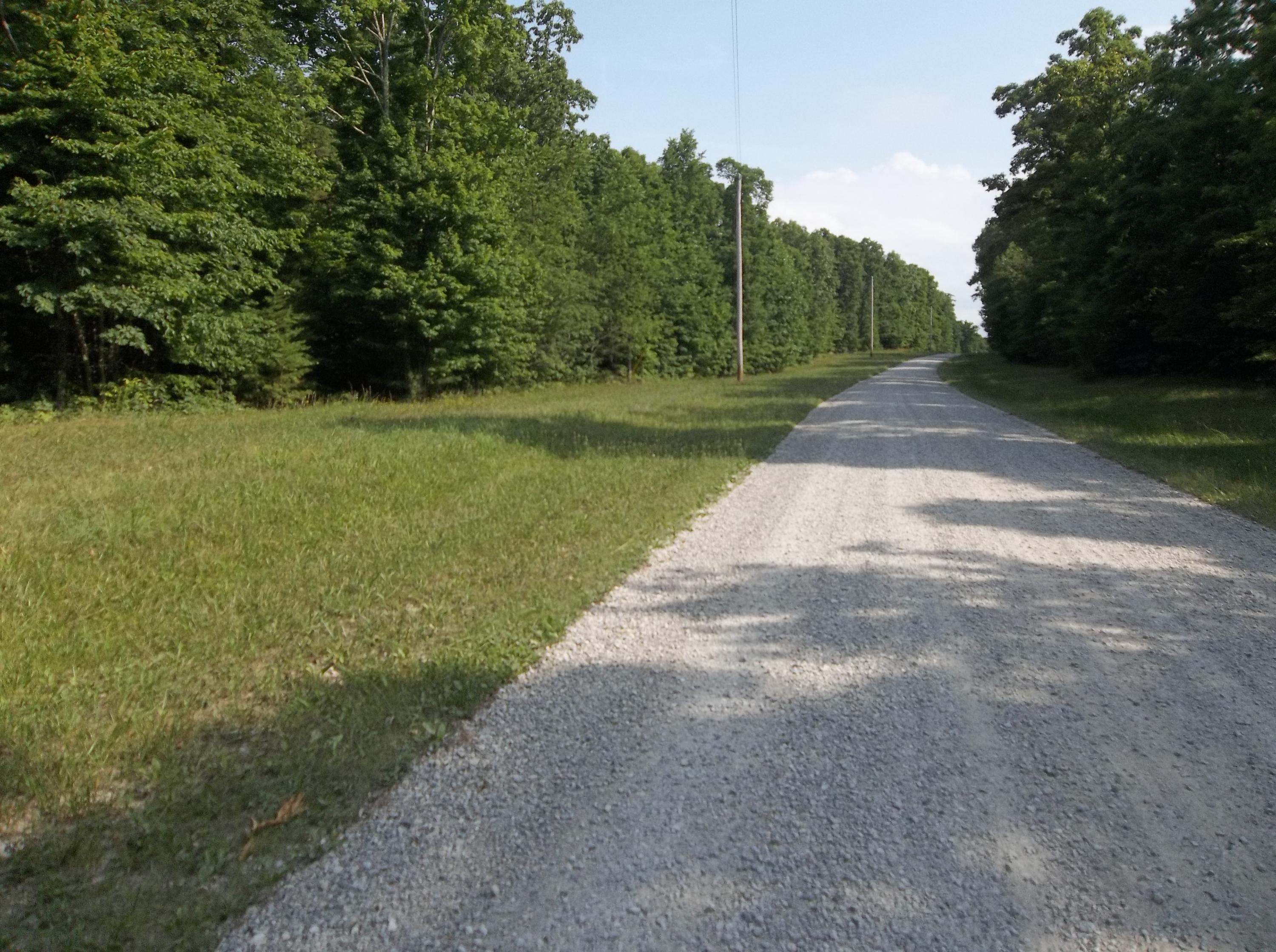 0 Lou Road, Unit 52 Pikeville, TN 37367 - Photo 2 of 9 100_3118