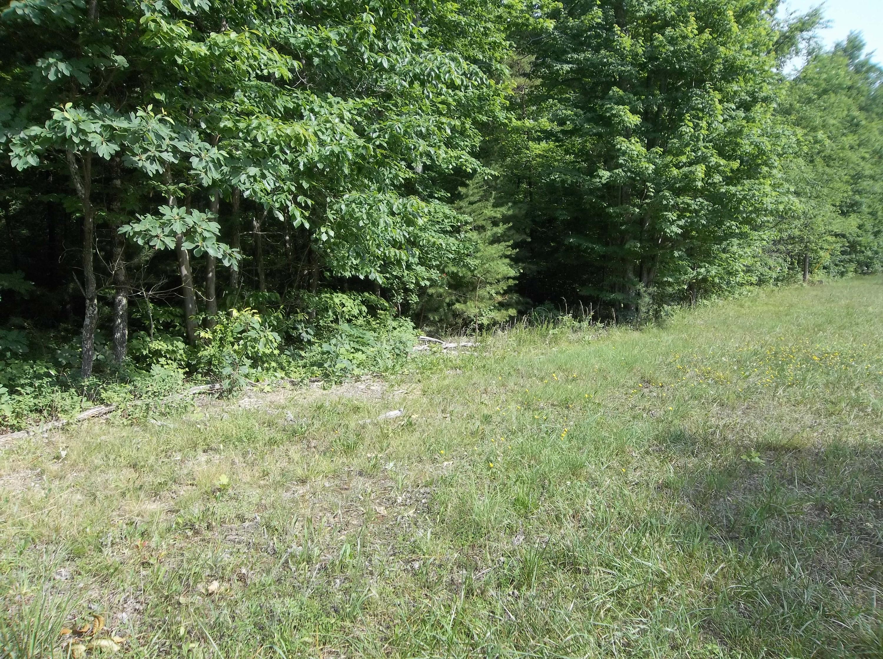 0 Lou Road, Unit 52 Pikeville, TN 37367 - Photo 4 of 9 100_3120