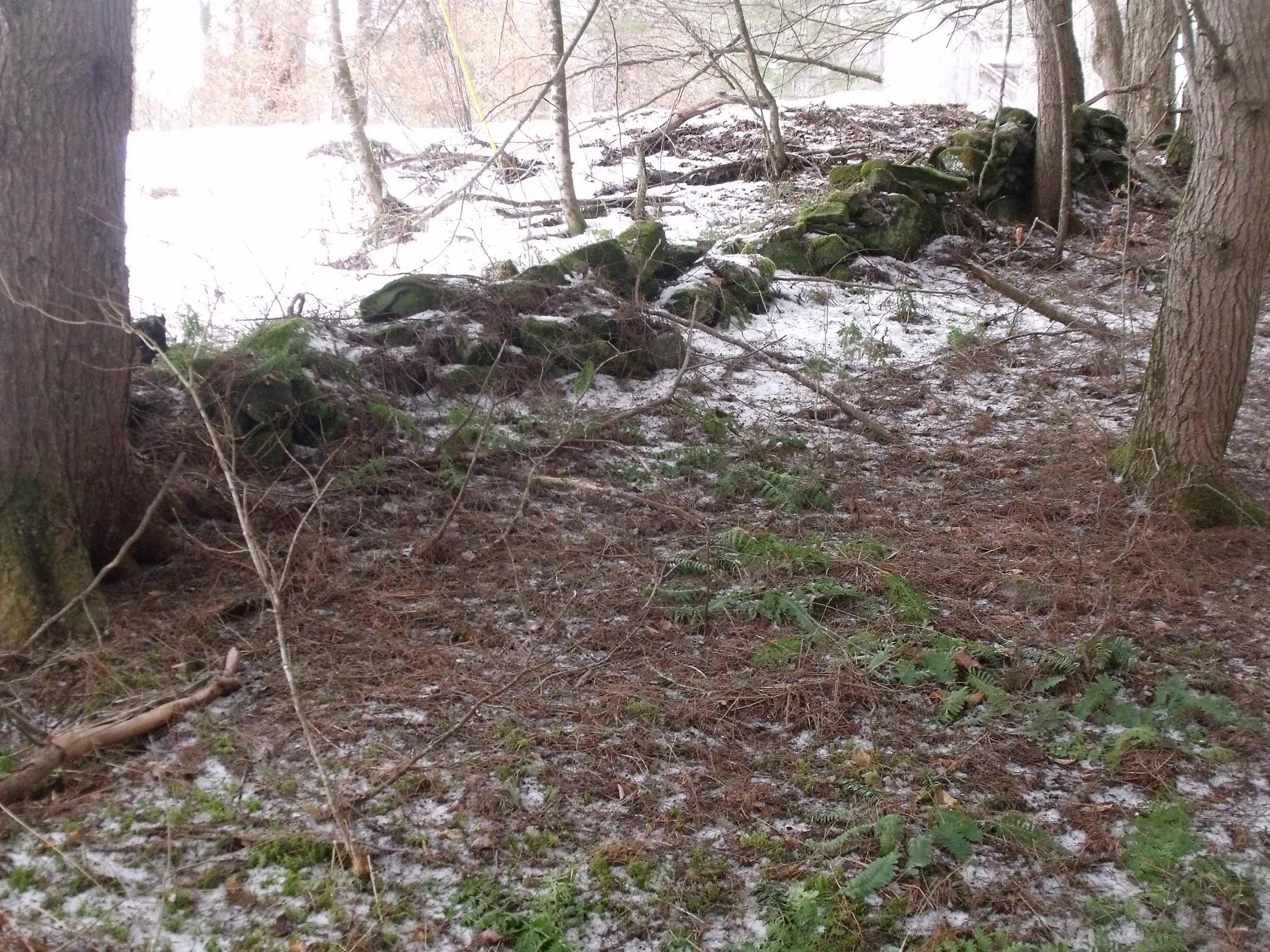 3186 S Road Woodstock, VT 05091 - Photo 6 of 8