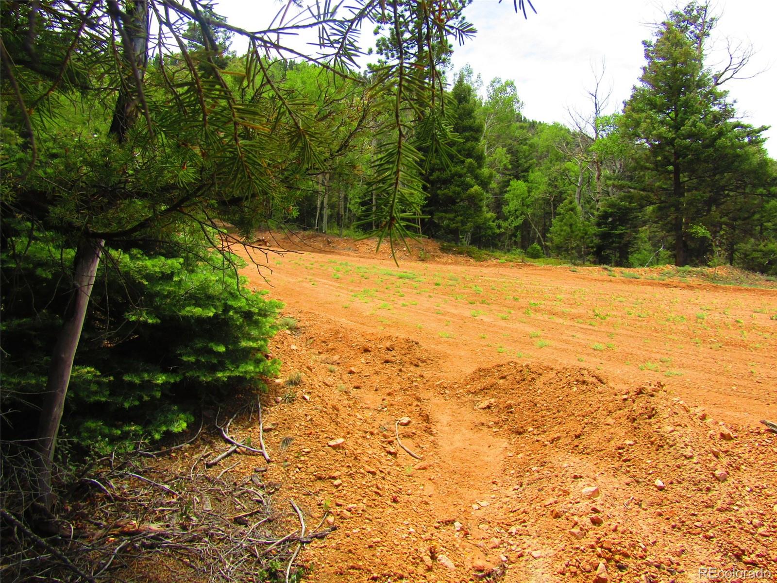 Lot 6028 Spruce Roads San Luis, CO 81152 - Photo 18 of 26