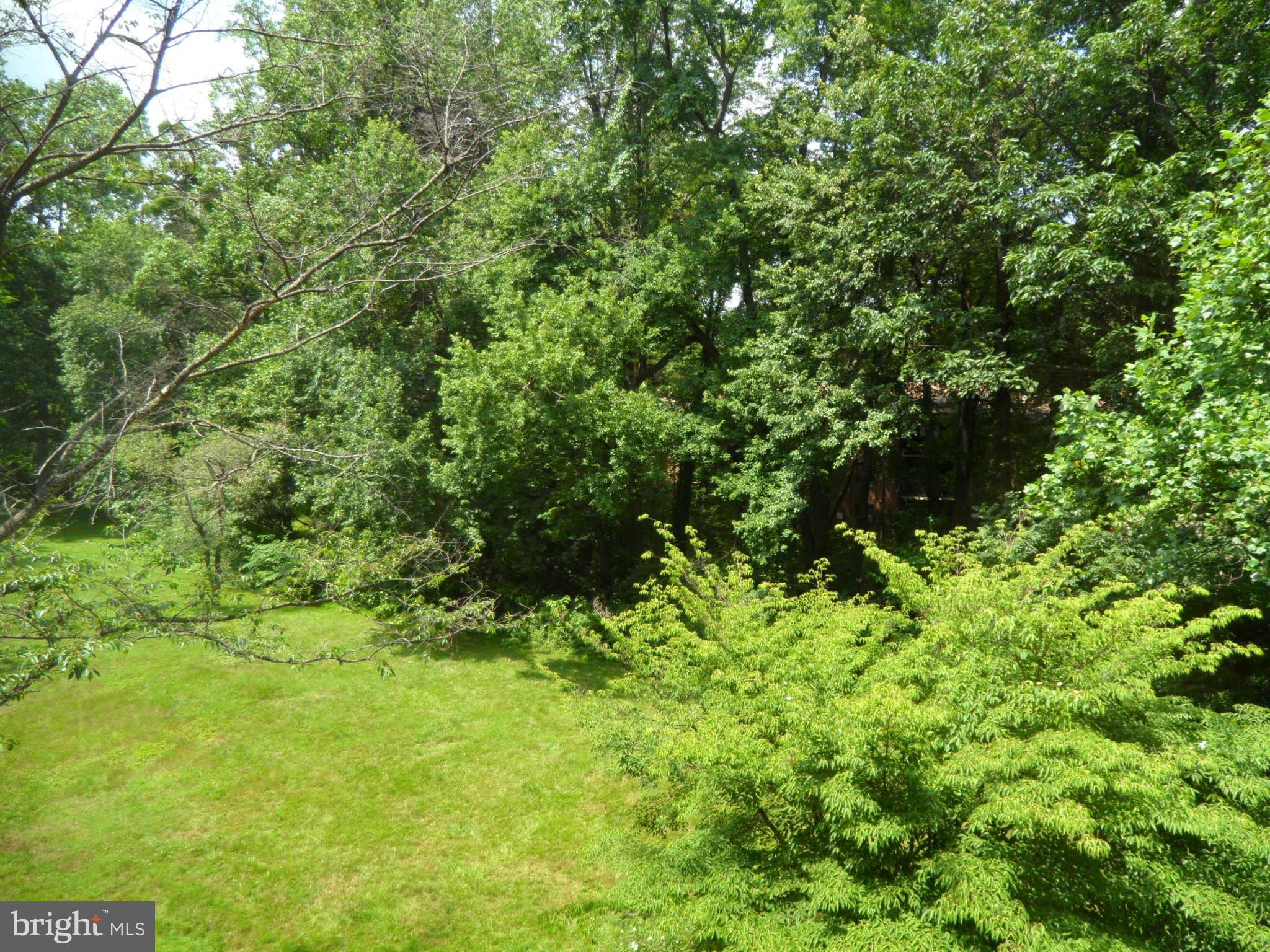 1420 Northgate Square, Unit 21B Reston, VA 20190 - Photo 16 of 30 Wooded Views