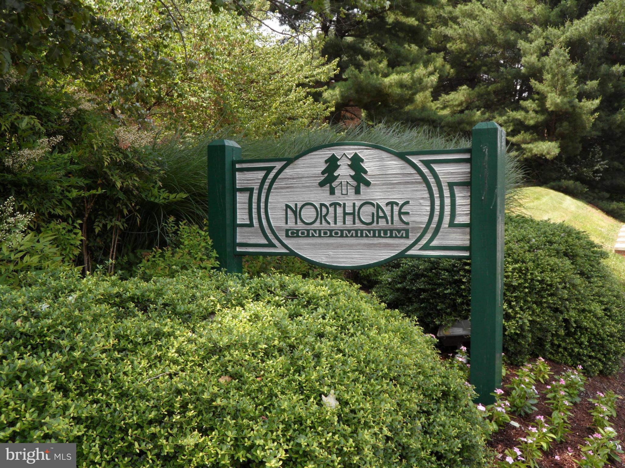1420 Northgate Square, Unit 21B Reston, VA 20190 - Photo 20 of 30 Community