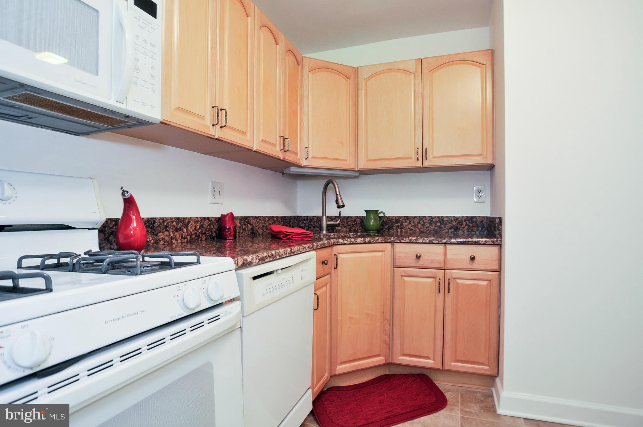 1420 Northgate Square, Unit 21B Reston, VA 20190 - Photo 7 of 30 Kitchen with New Granite