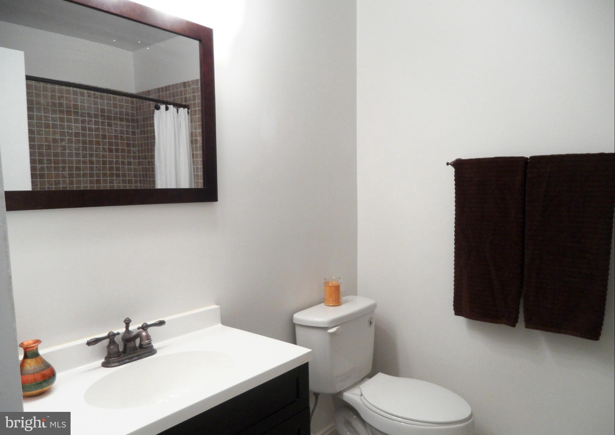1420 Northgate Square, Unit 21B Reston, VA 20190 - Photo 10 of 30 Renovated Hall Bath with new Cabinets