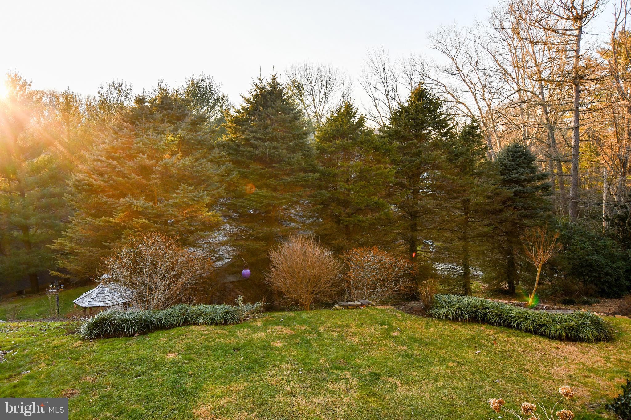 270 South Ridley Creek Road Media, PA 19063 - Photo 68 of 71 Back yard view