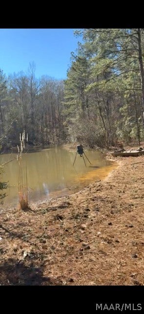 40 West County Road Billingsley, AL 36006 - Photo 24 of 36 Gallery Image 24