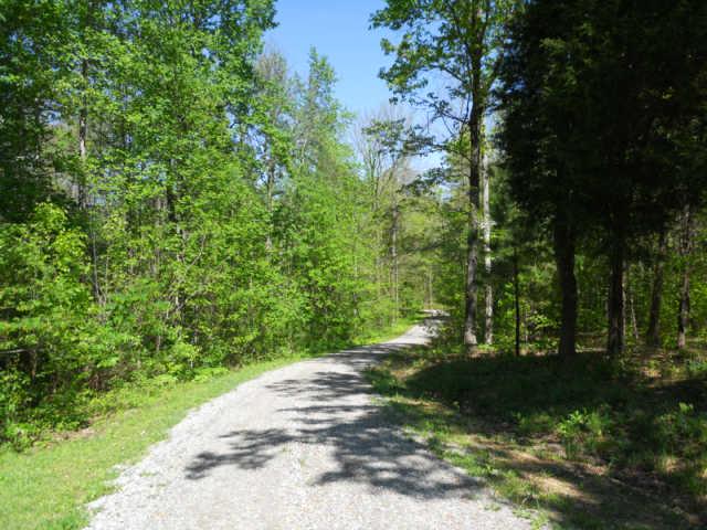 407 Summerall Road Dickson, TN 37055 - Photo 4 of 20 Gallery Image 4