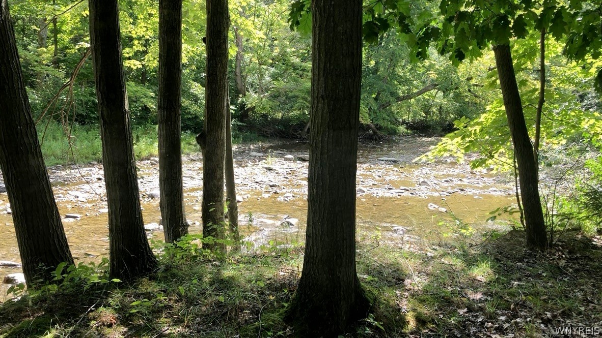1790 Davis Road West Falls, NY 14170 - Photo 41 of 50 Gallery Image 41