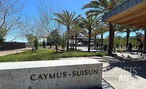 750 Bridle Ridge Court Fairfield, CA 94534 - Photo 6 of 10 a view of swimming pool with a patio and a yard