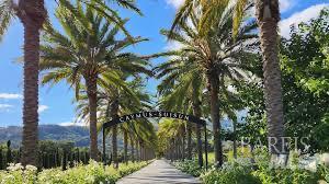 750 Bridle Ridge Court Fairfield, CA 94534 - Photo 9 of 10 a view of a yard with plants