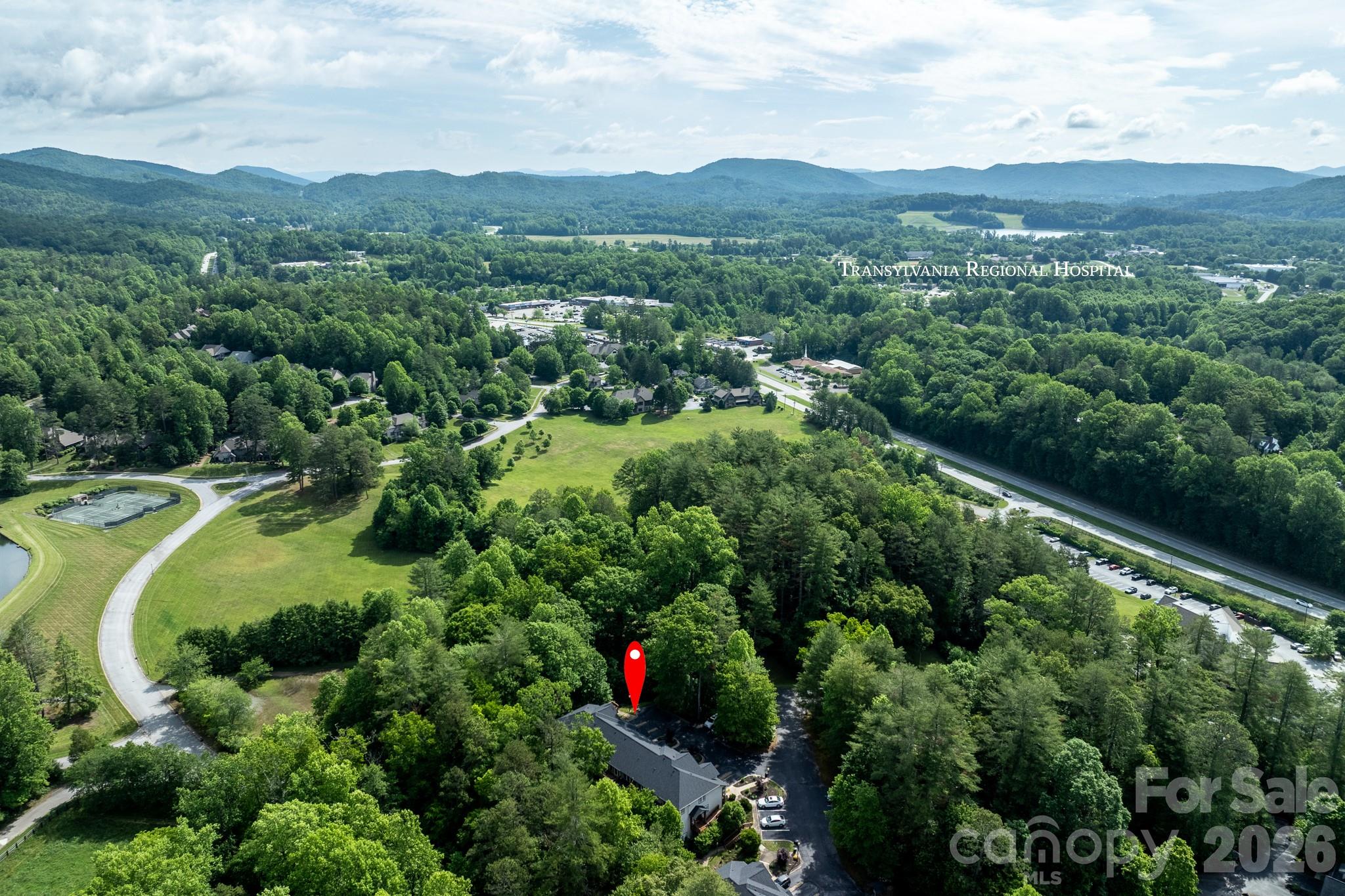 99 Ridgetop Circle, Unit 202 Brevard, NC 28712 - Photo 40 of 48