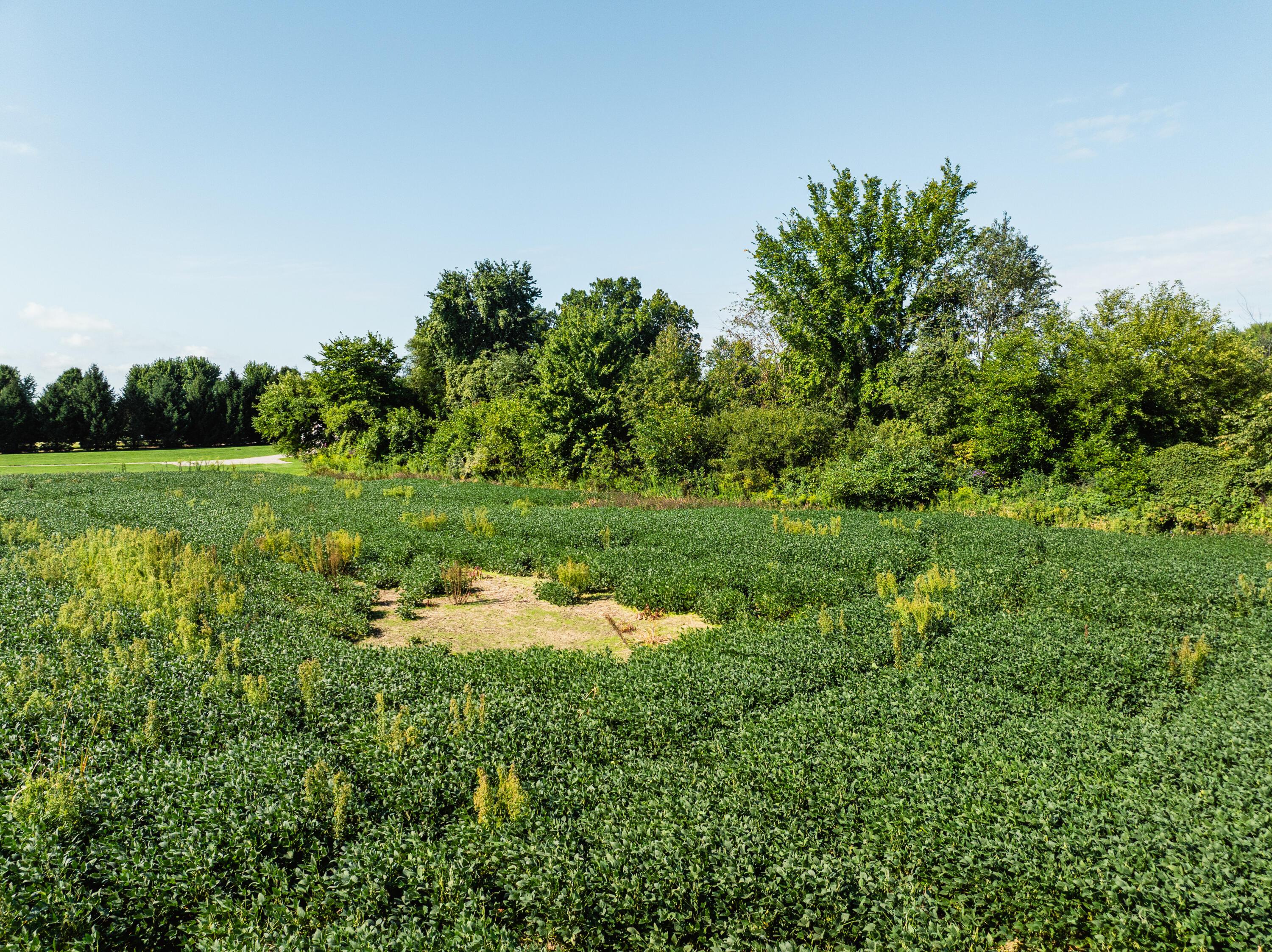0 Sycamore Road Centerburg, OH 43011 - Photo 38 of 69 DJI_20260827152921_0826_D
