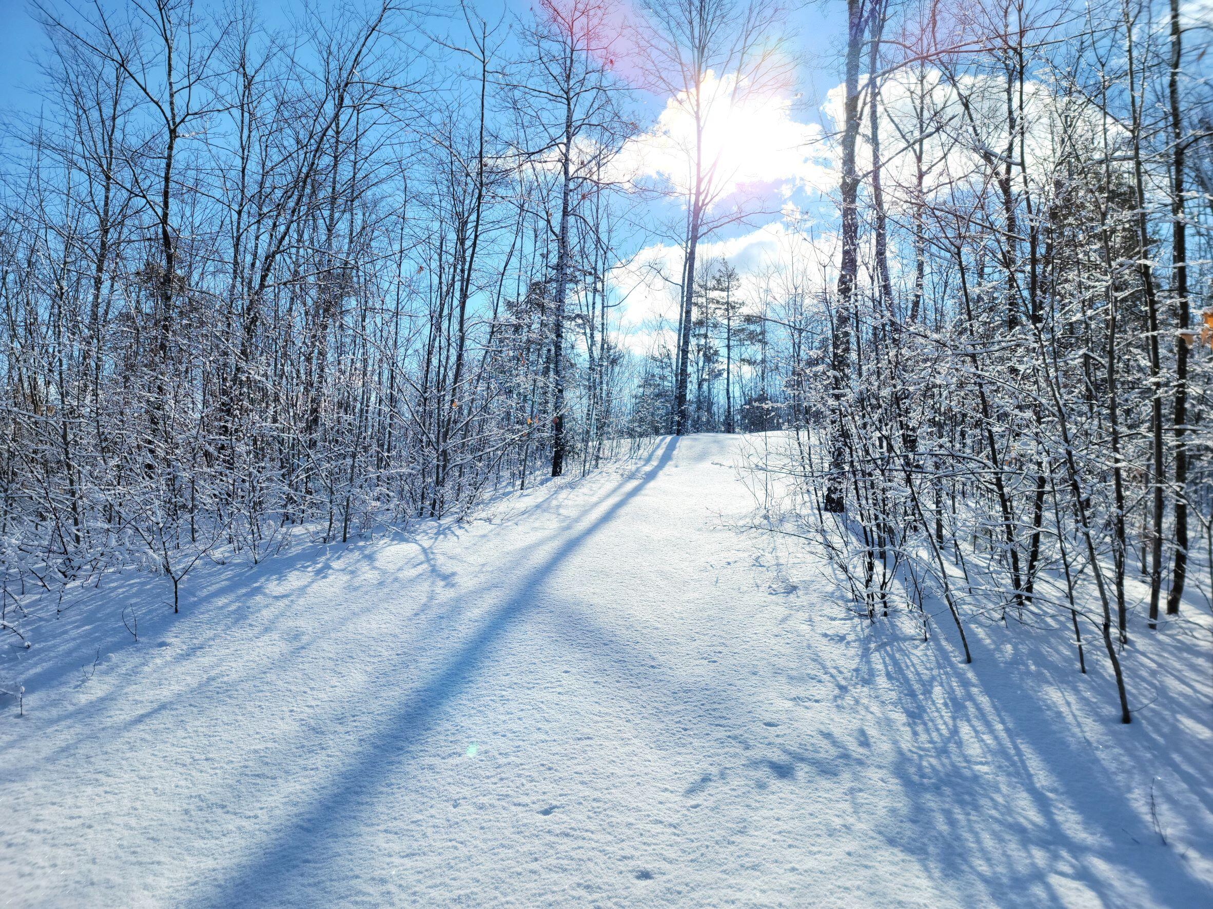 M8-l4 Ward Hill Road Troy, ME 04987 - Photo 5 of 11 Driveway 2