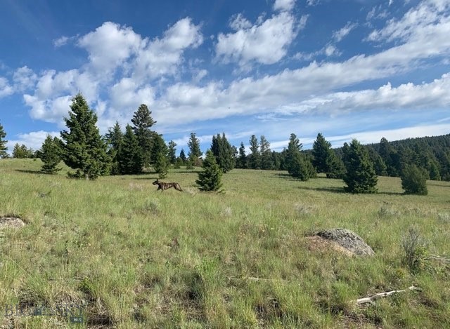 3414 Divide Creek Road Divide, MT 59727 - Photo 47 of 61 Gallery Image 47