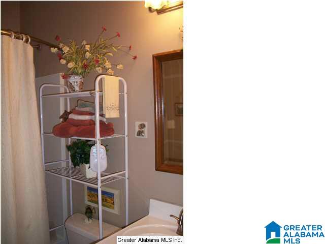 44 Shanghai Road Springville, AL 35146 - Photo 17 of 30