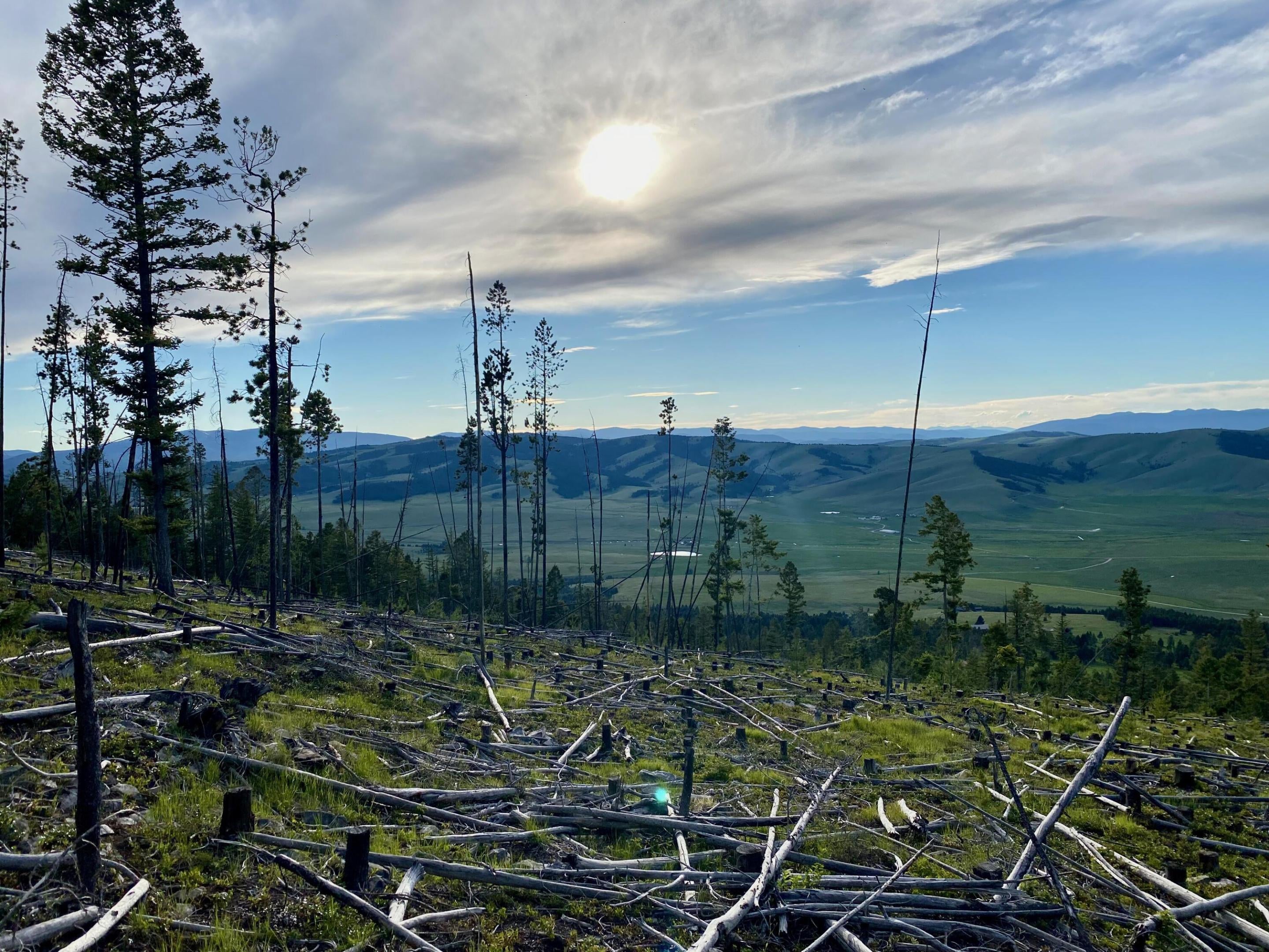 Tbd Trapper Ridge Philipsburg, MT 59858 - Photo 44 of 47 Gallery Image 44